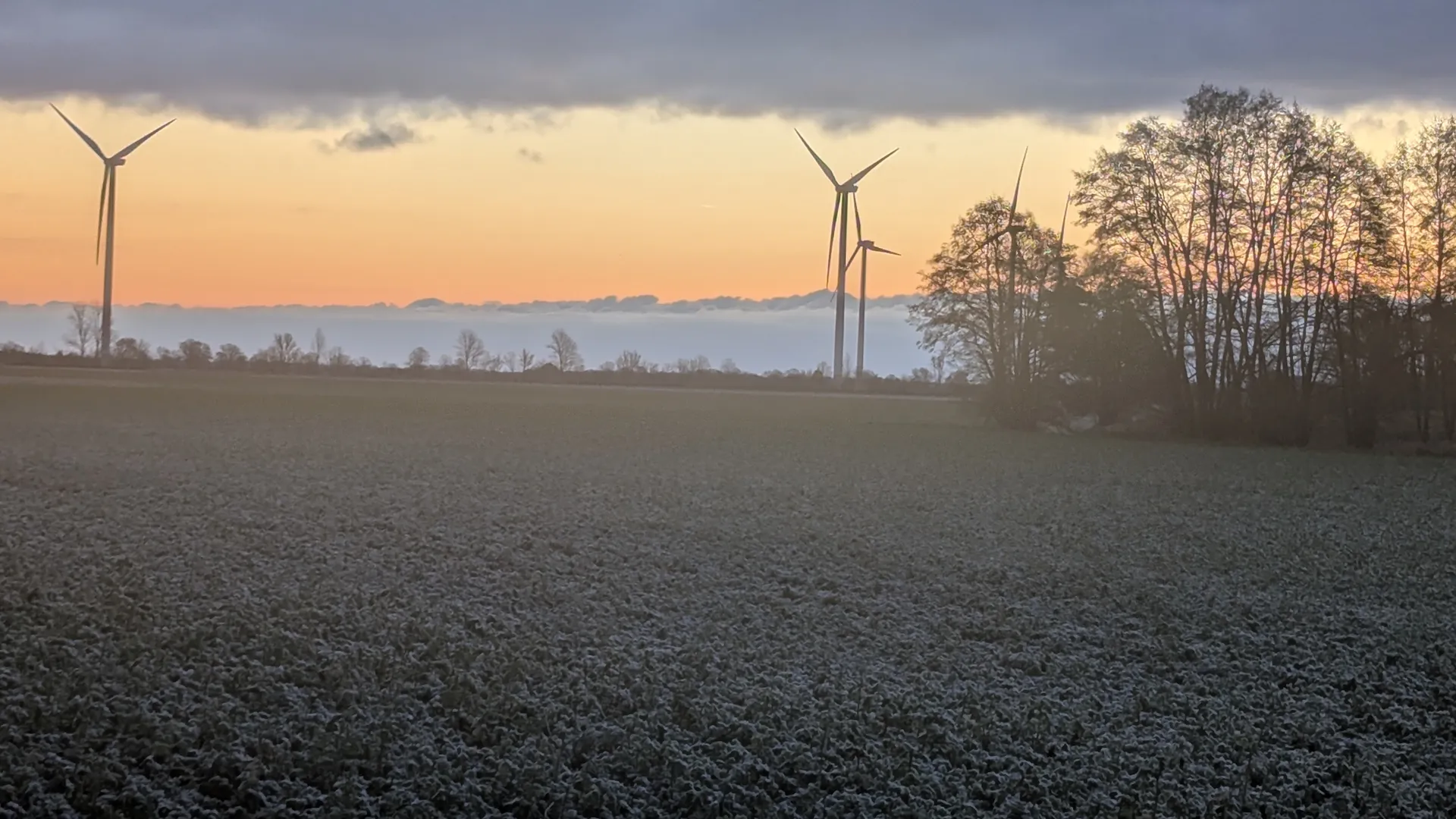Windkrafträder